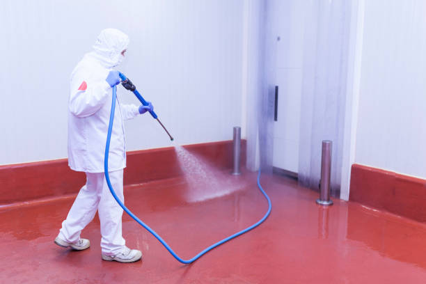 Professional Pressure Washing Services in Laurel Hill, VA